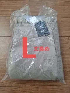 Item thumbnail for item b4da2d35-5903-408b-8e80-2cb5036f3744