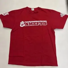 IKURA'S AMERICAN FESTIVAL AMEFES Tシャツのサムネイル
