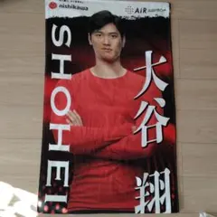 大谷翔平選手 雪肌精オリジナルアクリルスタンド A4クリアファイル