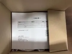 ポケモンワールドチャンピオンシップス2023横浜か記念デッキ「ピカチュウ」