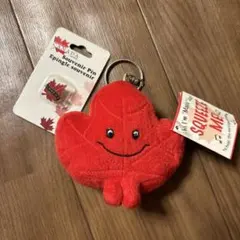 「KOU」さん専用　カナダのピンバッチとメープルリーフマスコット