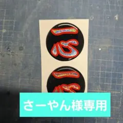 さーやん様専用