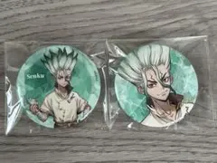 Dr.STONE ドクスト ミックスガーデン 缶バッジ 千空 4点セット - メルカリ
