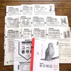 2026年最新】進研模試 2月 高2 大学入学共通テスト模試の人気アイテム