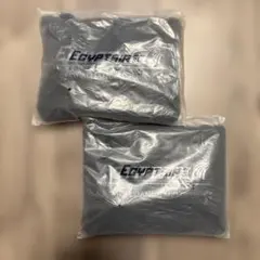 Item thumbnail for item 601920e9-37b8-4f8c-874f-ab47a4b805e7