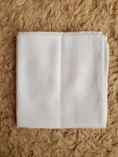 Item thumbnail for item 625eb2f2-fc67-4102-a5b4-e75dc5097767