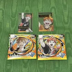 ハイキュー ファンパーク 缶バッジ 箔押しクリアカードコレクション 日向翔陽