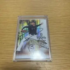 Item thumbnail for item 49dce2f4-9dbc-4316-a941-a2149630c55a