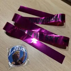 LANA ガチャ　缶バッチ　銀テ