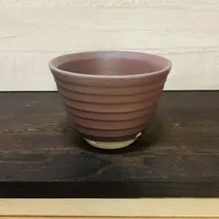 ①植木鉢　陶器　一点物　化粧鉢　観葉植物　purple matte