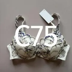 C75 ウイング/ワコール　レシアージュ　ブラジャー PBのサムネイル