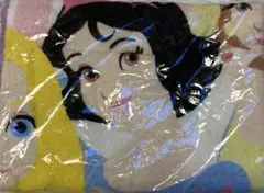 Item thumbnail for item a3cbce24-afac-480b-baf5-63794a746937