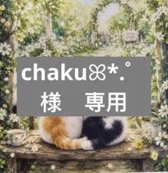 chakuꕤ*.゜様　専用