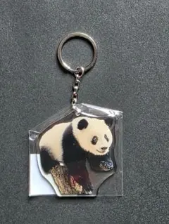 2025年最新】シャンシャン キーホルダーの人気アイテム - メルカリ