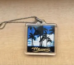 Item thumbnail for item 9c4218d1-e5d8-48b8-bb55-fbc8cb7e727f