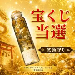 期間限定価格 その日からはじめる本 宝くじ 高額当選者向けガイドブック 2冊 2026年最新】宝くじ高額当選 本の人気アイテム - メルカリ