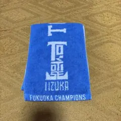 IGACHAN様 リクエスト 2点 まとめ商品