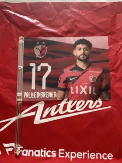 Antlers Talles Brener 17番 応援グッズ フラッグうちわ
