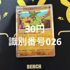 フライゴン 識別番号026