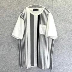 【PLEDGI/brilliance】ストライプ切替 半袖Tシャツ 胸ポケット