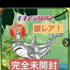 新品未開封　ジャングル&co. 　オオメジロザメ　銀　スーパーレア　アンドコ