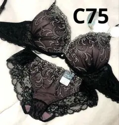 C75 ボタニカルダスティーレースブラジャー&バック透けフルバックショーツ