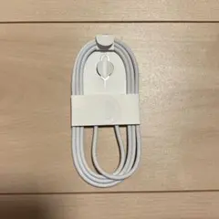 正規品 純正 APPLE Type-C 充電器