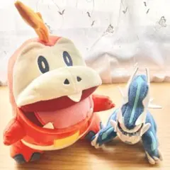 ポケモン ぬいぐるみ まとめ売り 2点セット ポケットモンスター