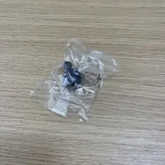 ポケモンゲットコレクションズ　パルデアのドオー