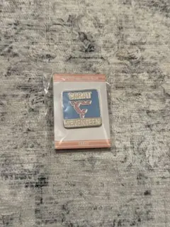 SEVENTEEN ピンバッジ 未使用