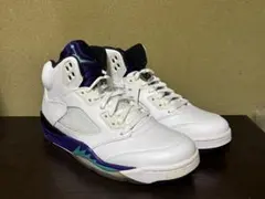 Nike Air Jordan 5 Retro 