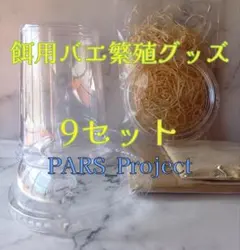 Item thumbnail for item 012da3de-79c4-46f0-916a-e3012004f192