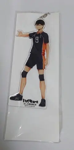 影山飛雄 アクリルキーホルダー大 ハイキュー 烏野VS青葉城西 J-WORLD