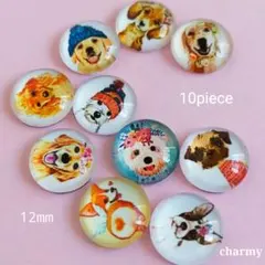 ガラスカボション 12mm / ご機嫌わんちゃん / 犬カボション / 10個