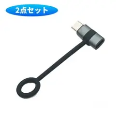 新品未使用！2個入 USB-C to lightning 変換アダプター