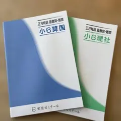 2026年最新】栄光ゼミナールの人気アイテム - メルカリ