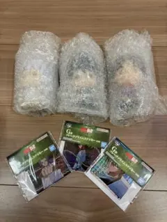 一番くじ　幽遊白書　F賞 G賞