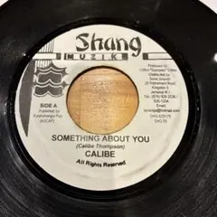 Something About You Calibe