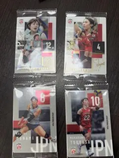 女子バレーボール 日本代表 トレーディングカード 4枚セット
