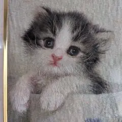 油彩画 猫 F6サイズ 自作木枠付き - メルカリ