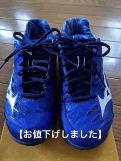 Item thumbnail for item 522bc536-340d-4736-b91f-06ab26ba4831