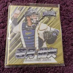 Item thumbnail for item dfb5b7f2-031e-450c-8d2c-3520298ae40b