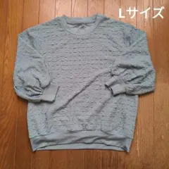 ワークマン スウェット