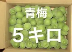 5月5日収穫 山梨県産 青梅 3kg 無農薬 化成肥料なし - メルカリ