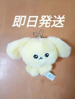 チェゴシム ガチャガチャ ぬいぐるみ