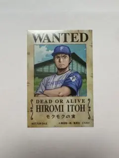 日本ハムファイターズ 伊藤大海 シール