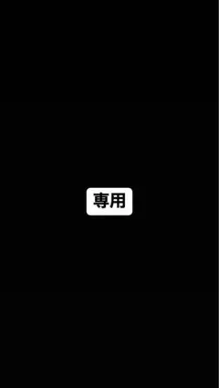 2 専用