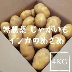 【無農薬】 千葉県産 新じゃがいも インカのめざめ 4kgのサムネイル