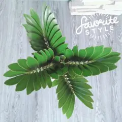 2025年最新】ザミアプミラの人気アイテム - メルカリ