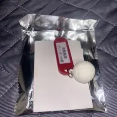 音駒高校 ハイキュー 高校名付き鍵チャームキーホルダー